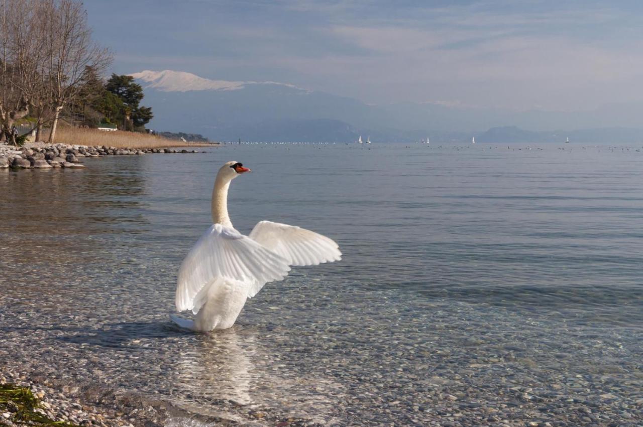 Alice'S Nest-Lake View House Padenghe sul Garda Exterior photo